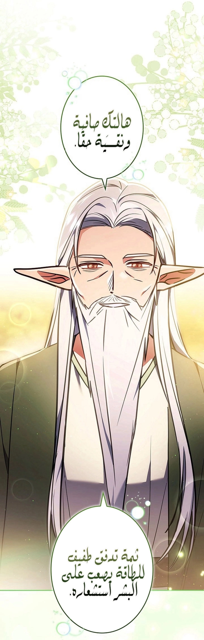 Read ‏The Lady Is a Stalker AR Manga Online