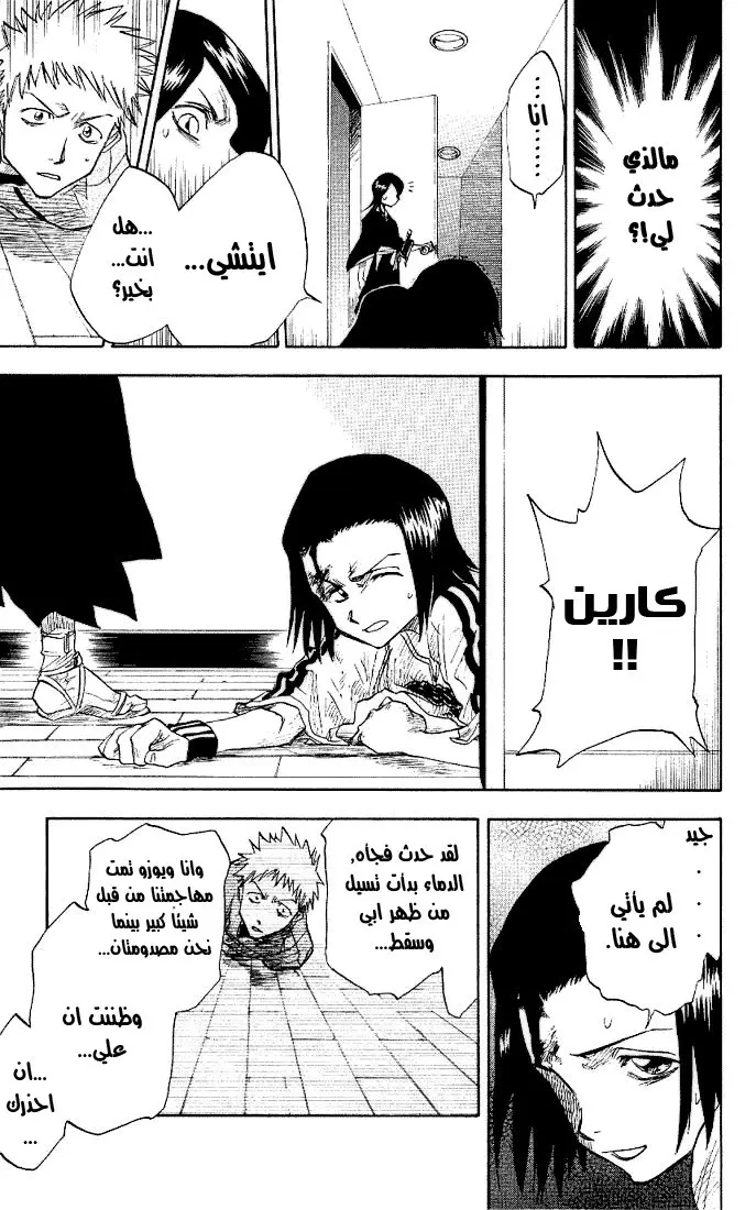 Read Bleach AR Manga Online