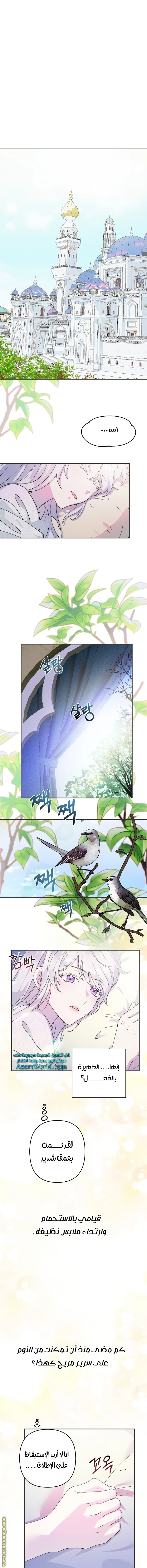 Read Forget My Husband, I’ll Go Make Money AR Manga Online