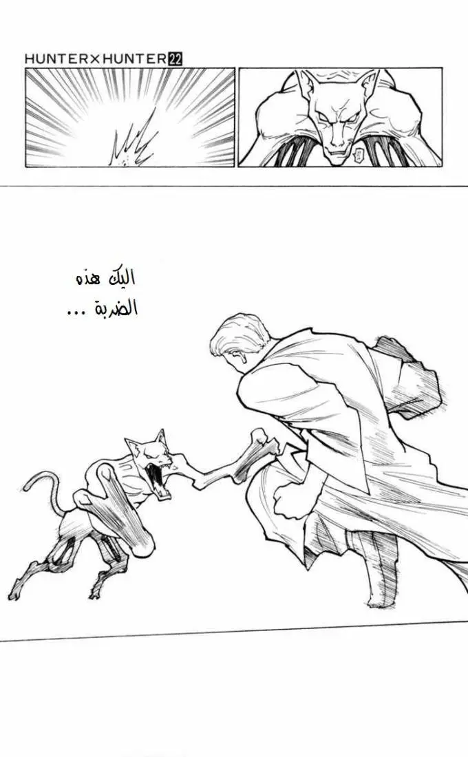 Read Hunter x Hunter AR Manga Online