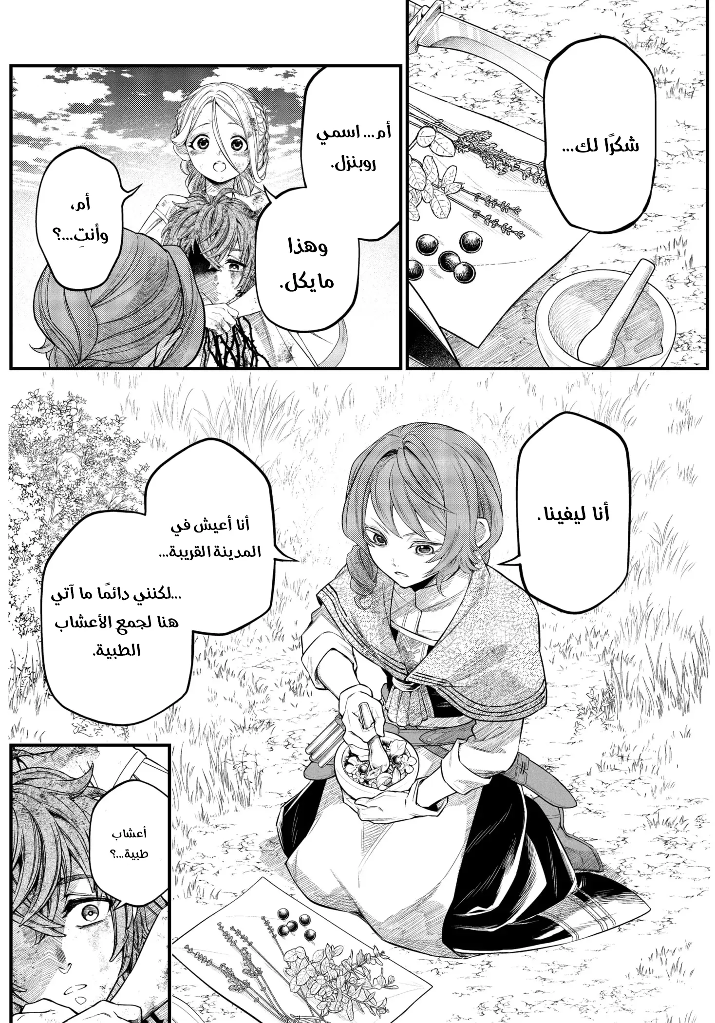 Read Märchen Crown AR Manga Online