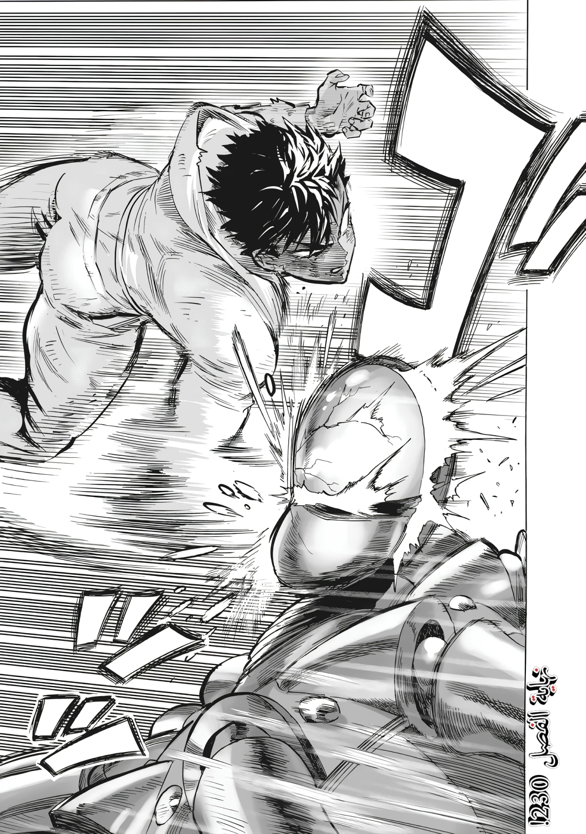 Read One Punch Man AR Manga Online