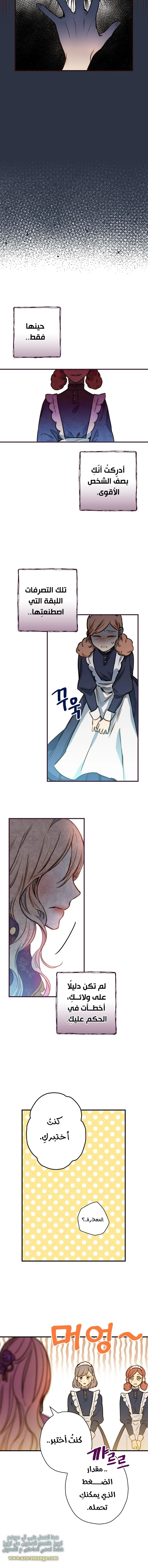Read Shadow Queen AR Manga Online