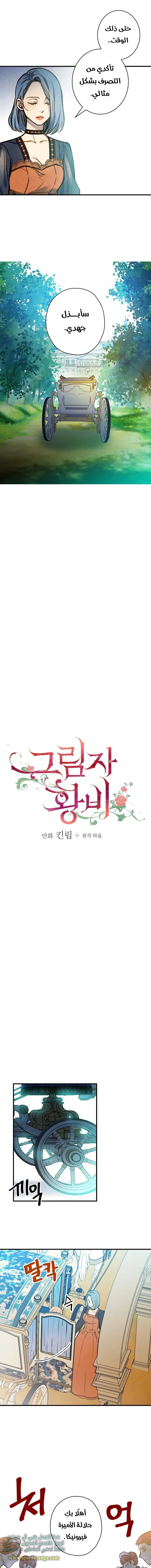 Read Shadow Queen AR Manga Online