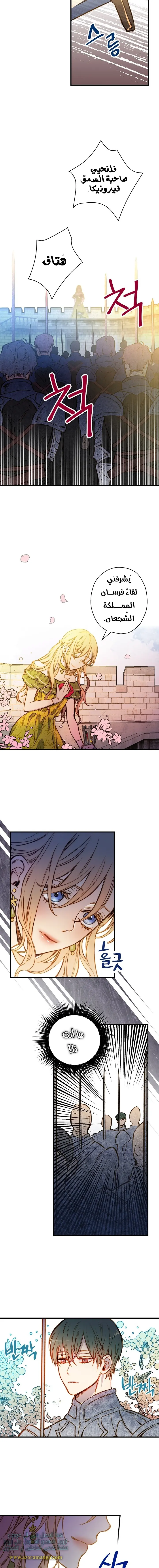 Read Shadow Queen AR Manga Online