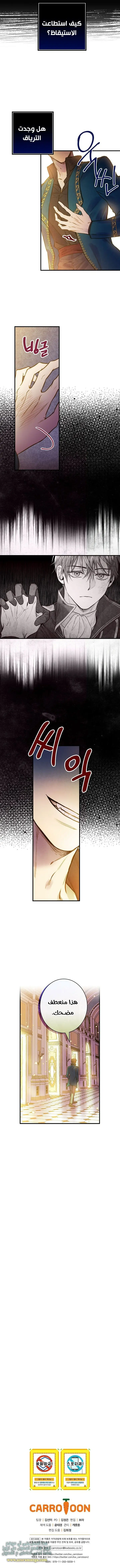 Read Shadow Queen AR Manga Online