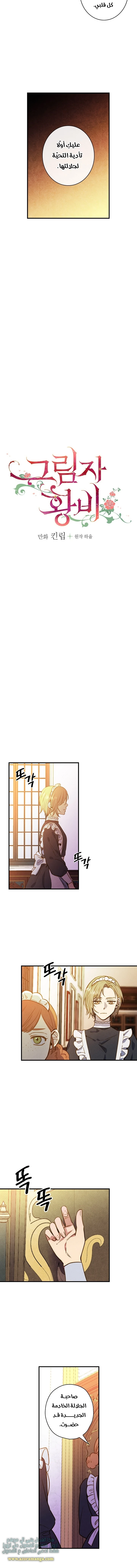 Read Shadow Queen AR Manga Online