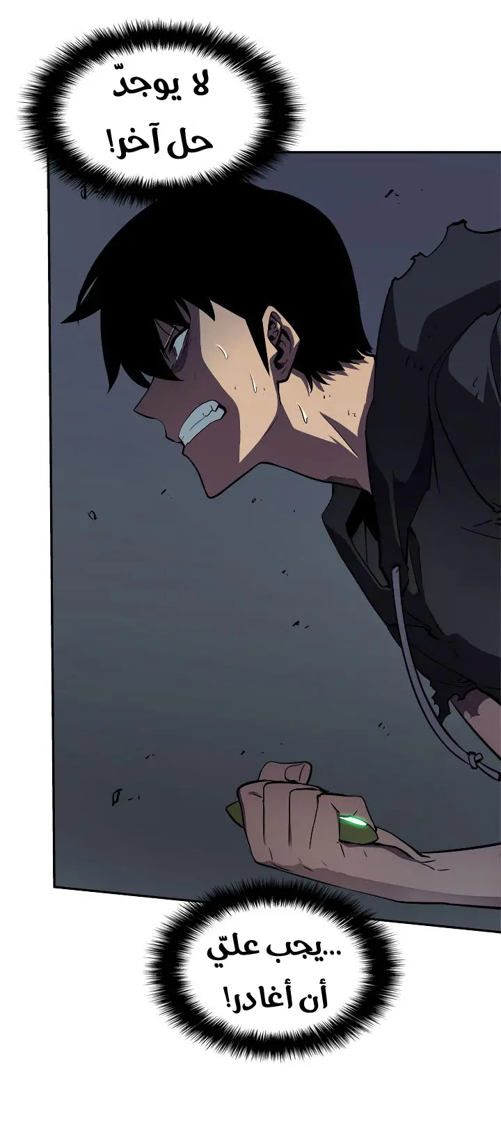 Read Solo Leveling AR Manga Online