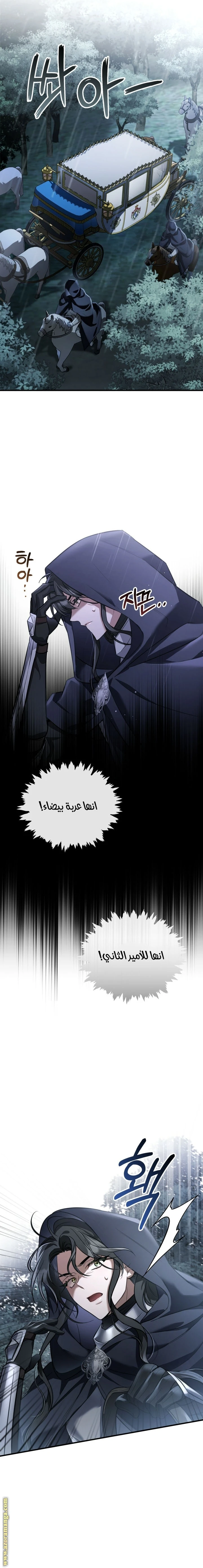 Read The Night Without Shadows AR Manga Online