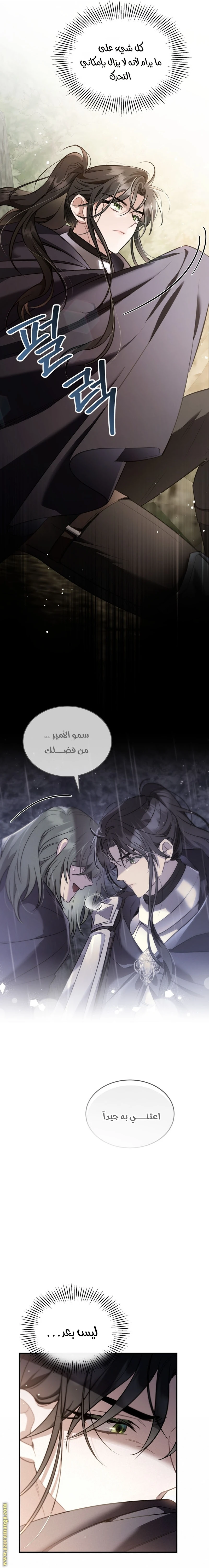 Read The Night Without Shadows AR Manga Online