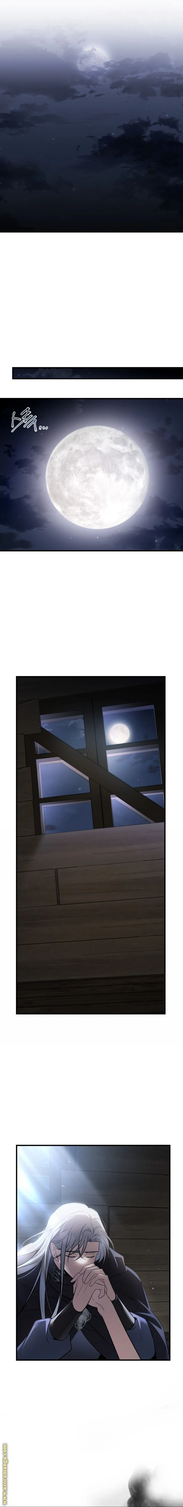 Read The Night Without Shadows AR Manga Online