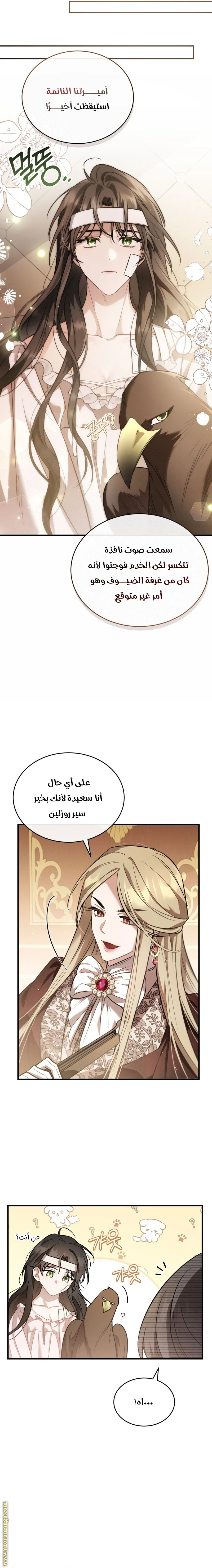 Read The Night Without Shadows AR Manga Online