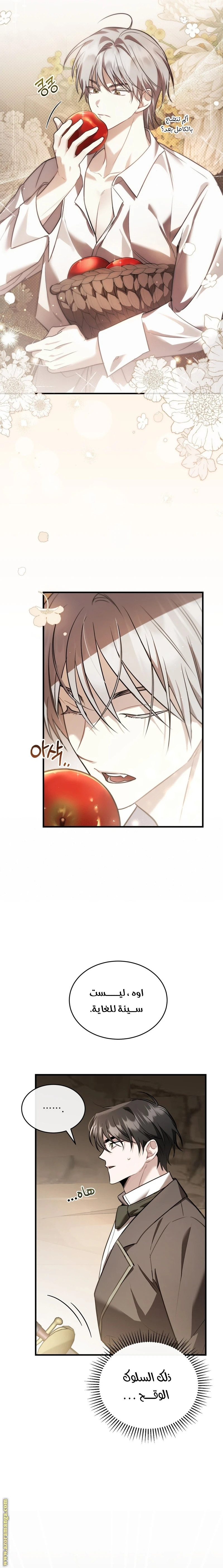 Read The Night Without Shadows AR Manga Online