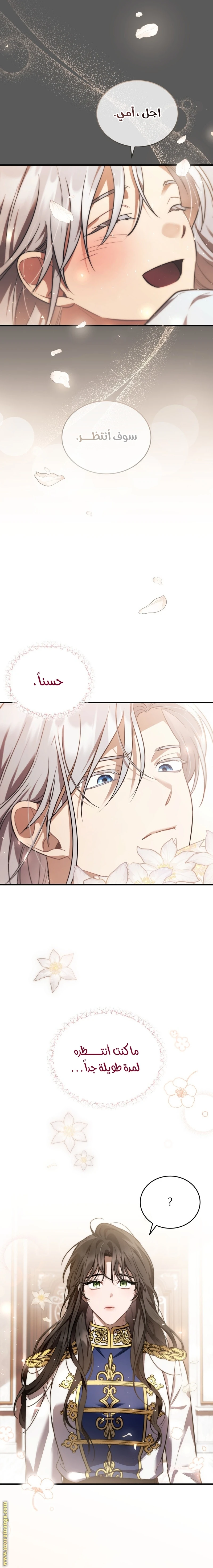 Read The Night Without Shadows AR Manga Online