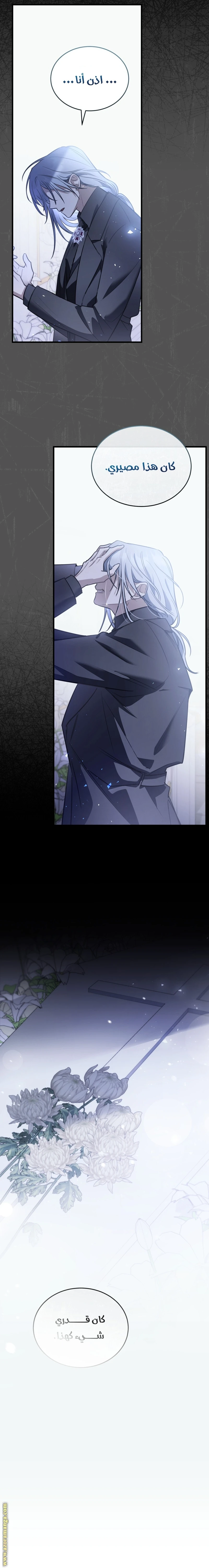 Read The Night Without Shadows AR Manga Online