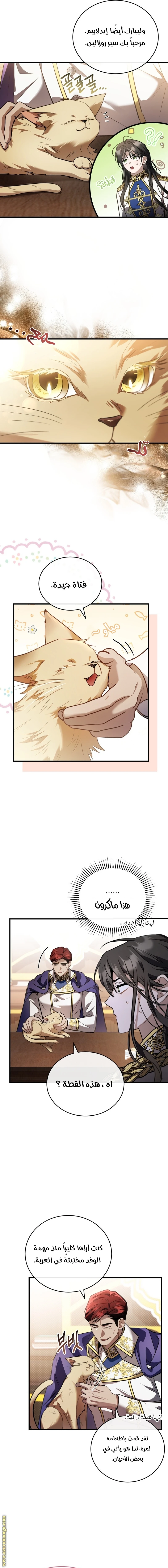 Read The Night Without Shadows AR Manga Online