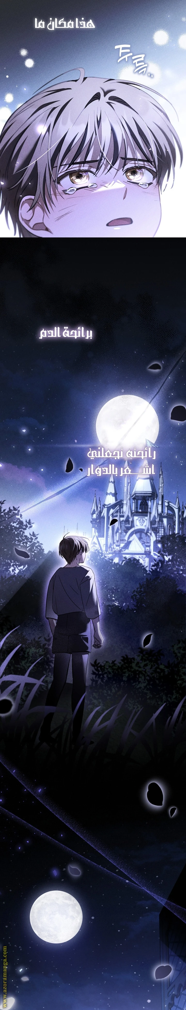 Read The Night Without Shadows AR Manga Online