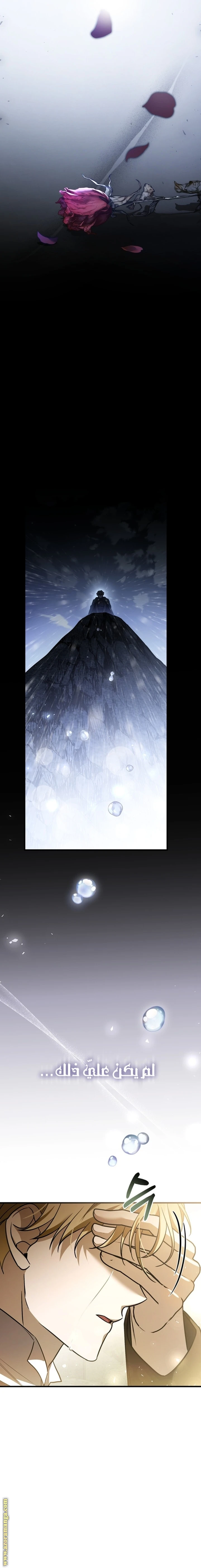 Read The Night Without Shadows AR Manga Online