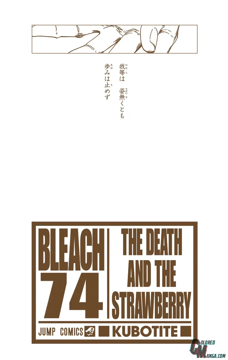 Read Bleach (Colored) Manga Online