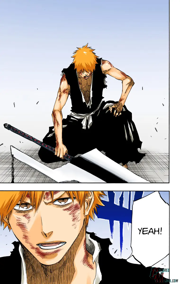 Read Bleach (Colored) Manga Online