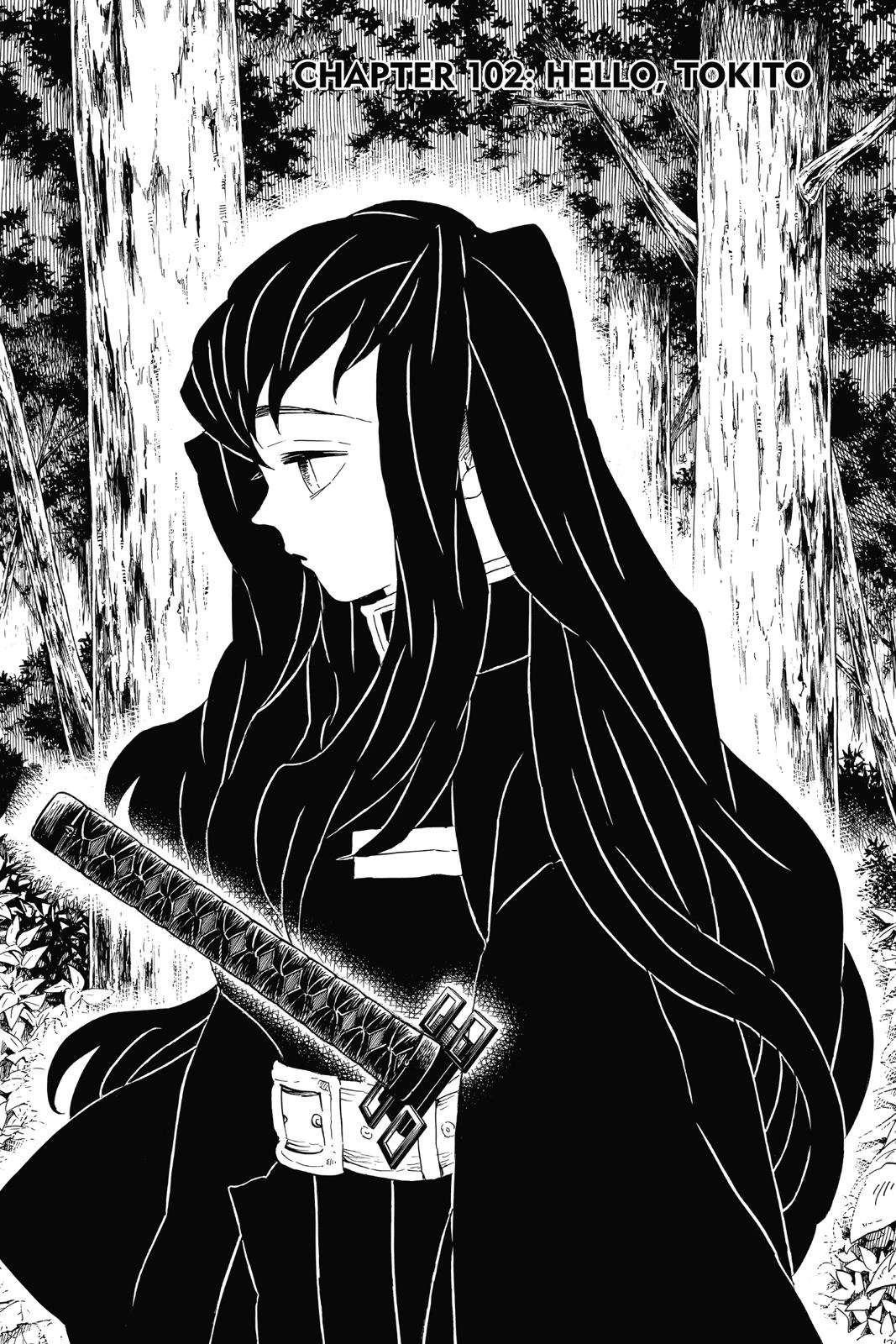 Read Demon Slayer Kimetsu no Yaiba Manga Online