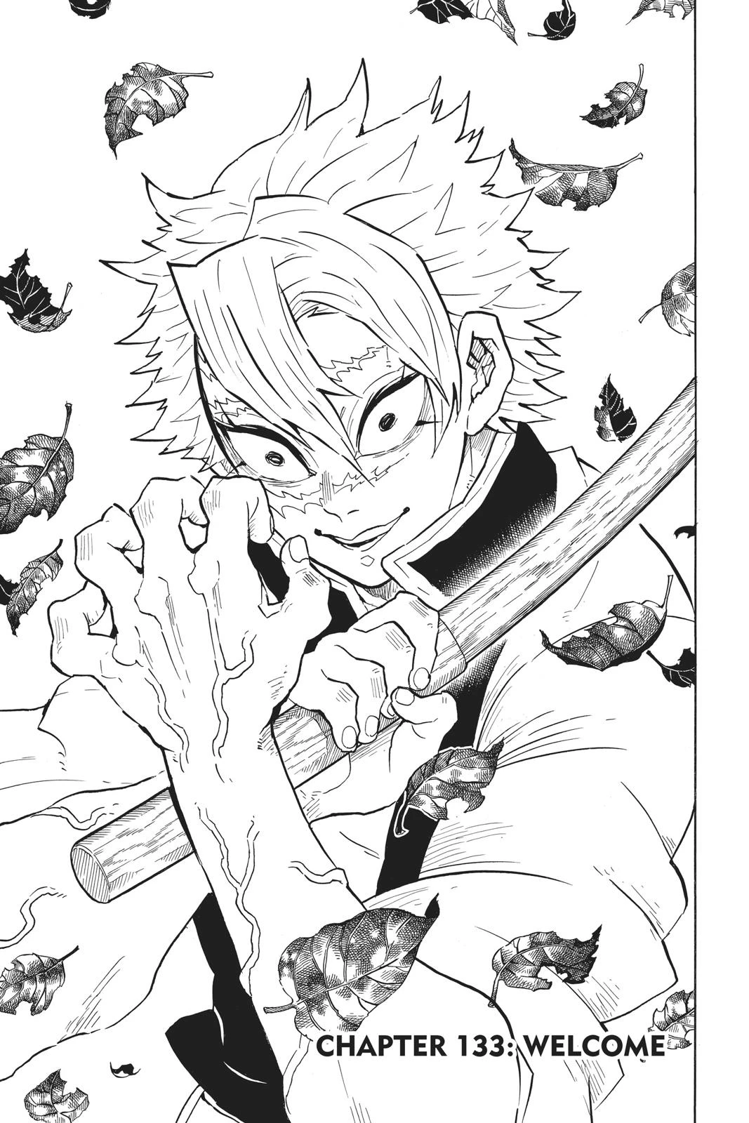 Read Demon Slayer Kimetsu no Yaiba Manga Online