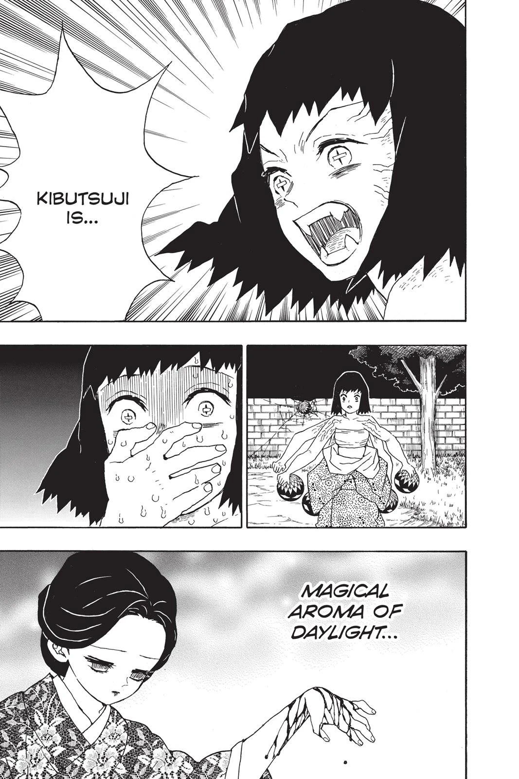 Read Demon Slayer Kimetsu no Yaiba Manga Online