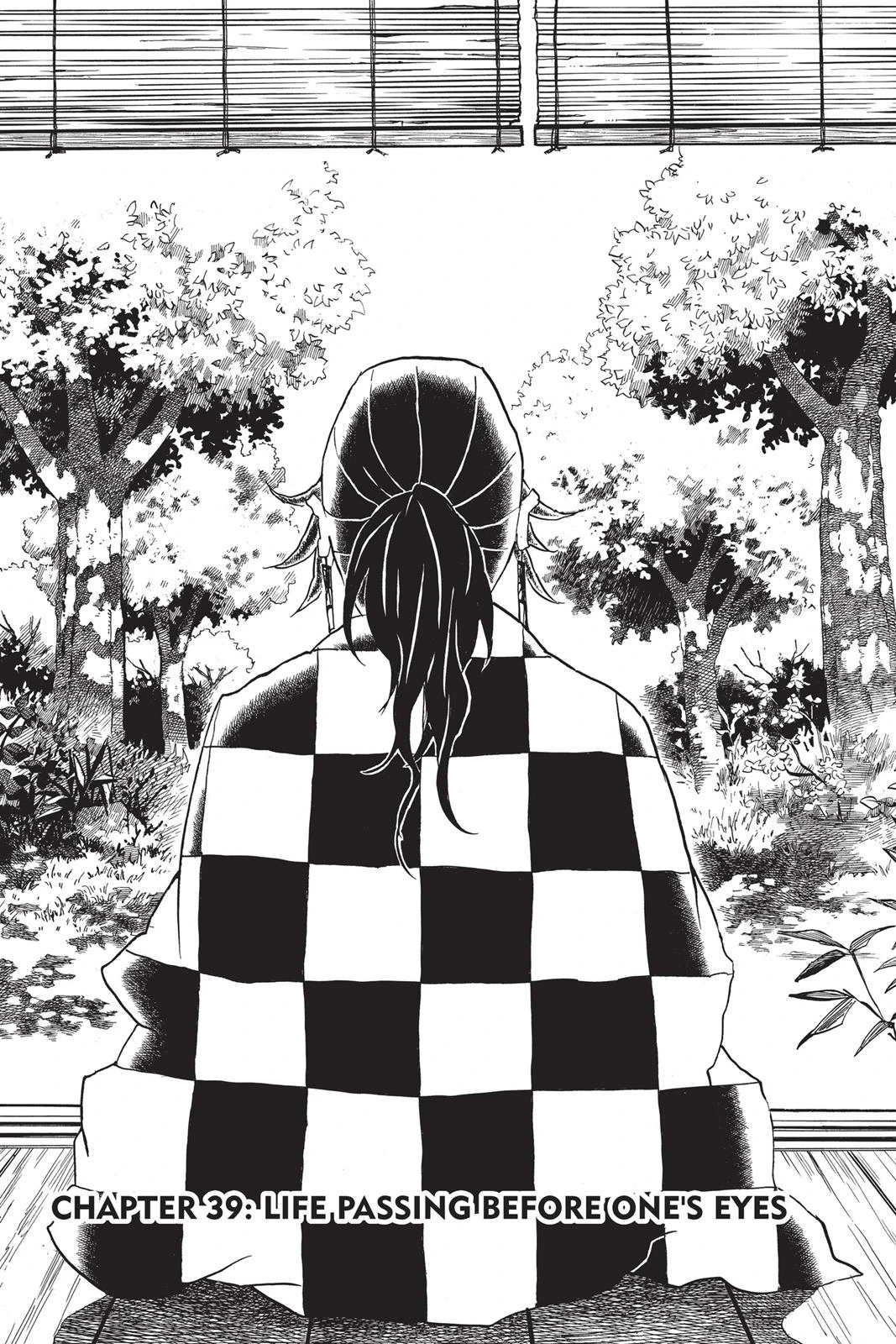 Read Demon Slayer Kimetsu no Yaiba Manga Online
