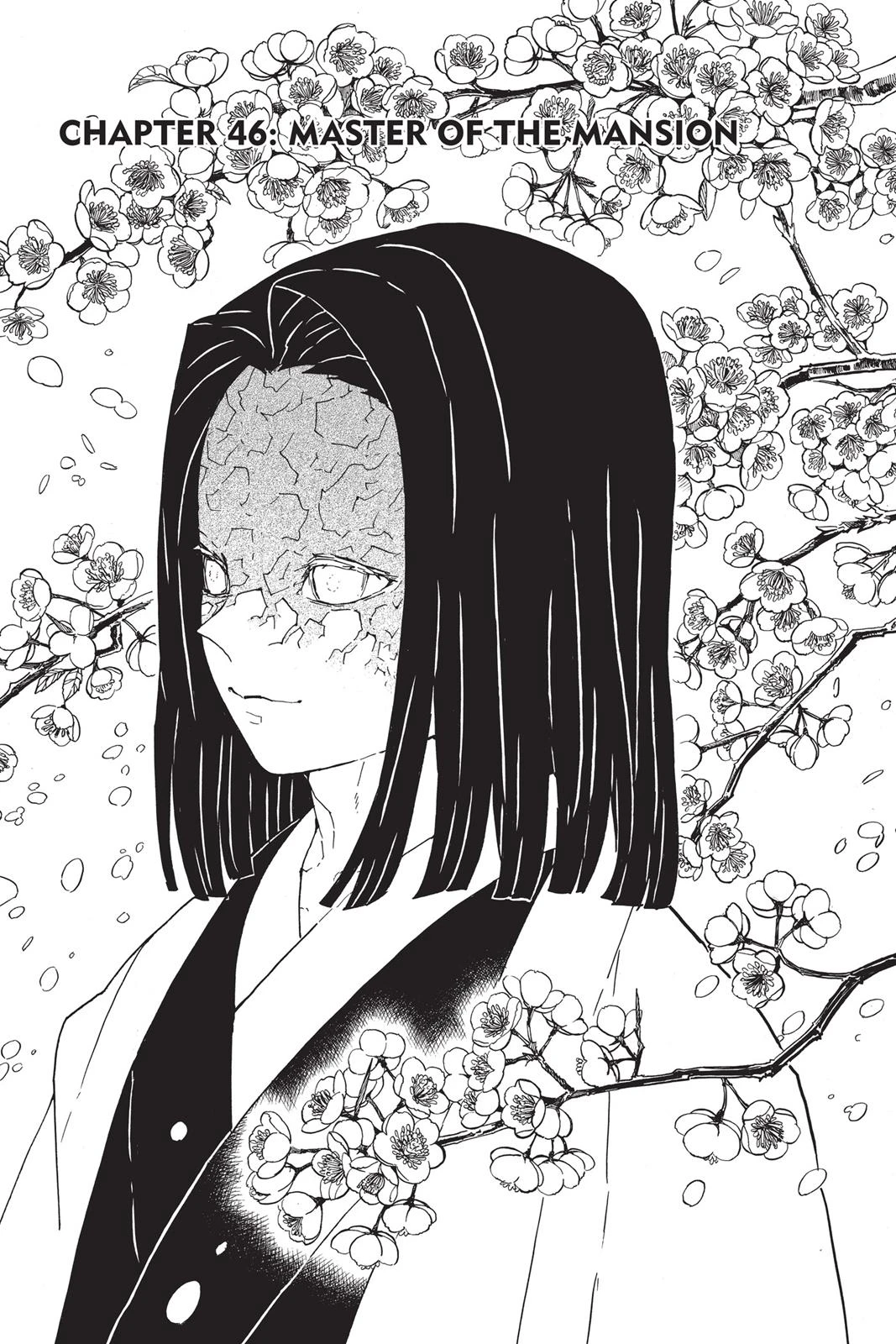 Read Demon Slayer Kimetsu no Yaiba Manga Online