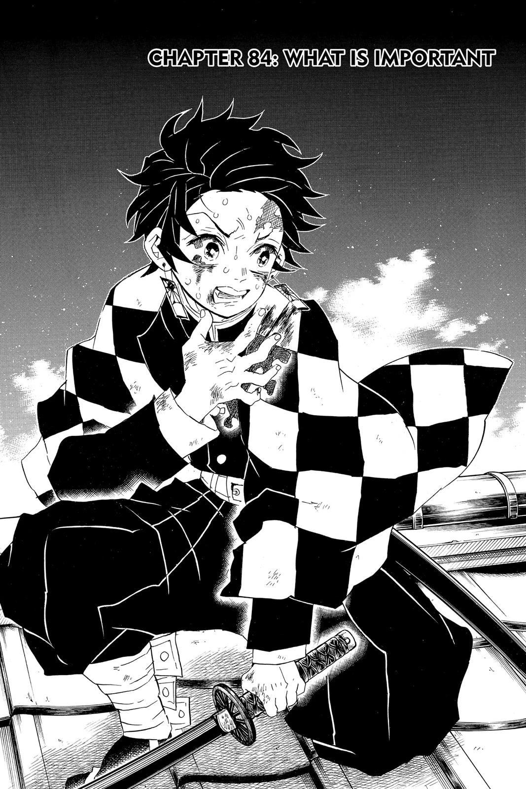 Read Demon Slayer Kimetsu no Yaiba Manga Online