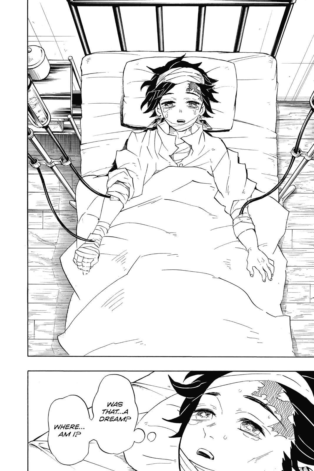 Read Demon Slayer Kimetsu no Yaiba Manga Online