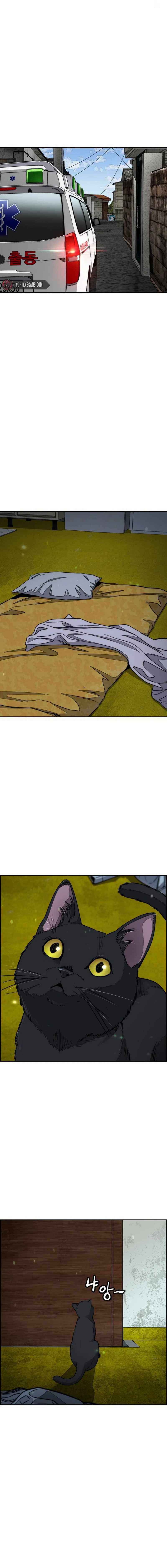 Read Wind Breaker Webtoon Manga Online