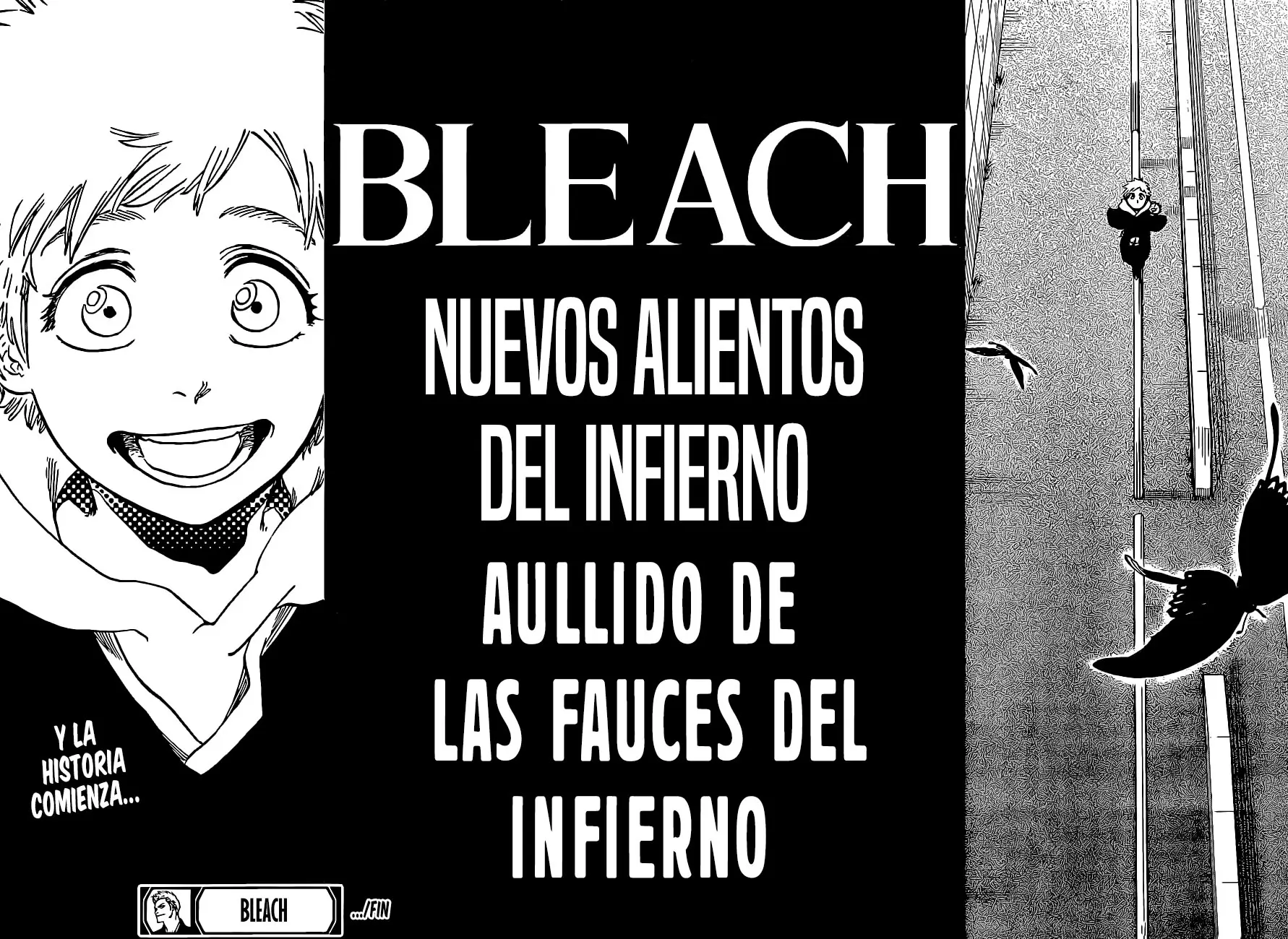Read Bleach ES Manga Online