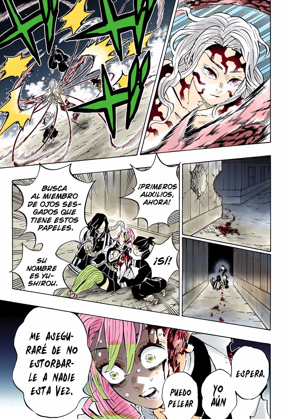 Read Demon Slayer Kimetsu no Yaiba ES Manga Online
