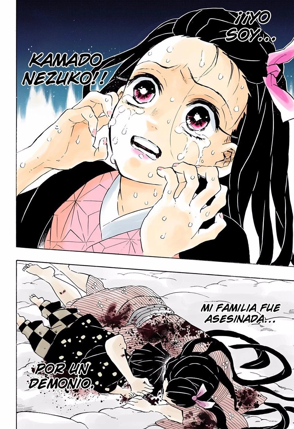 Read Demon Slayer Kimetsu no Yaiba ES Manga Online