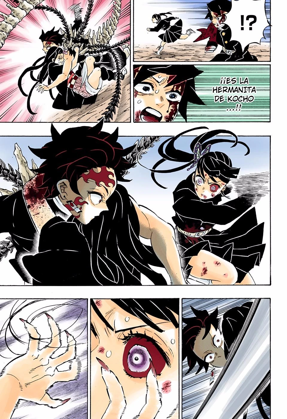 Read Demon Slayer Kimetsu no Yaiba ES Manga Online