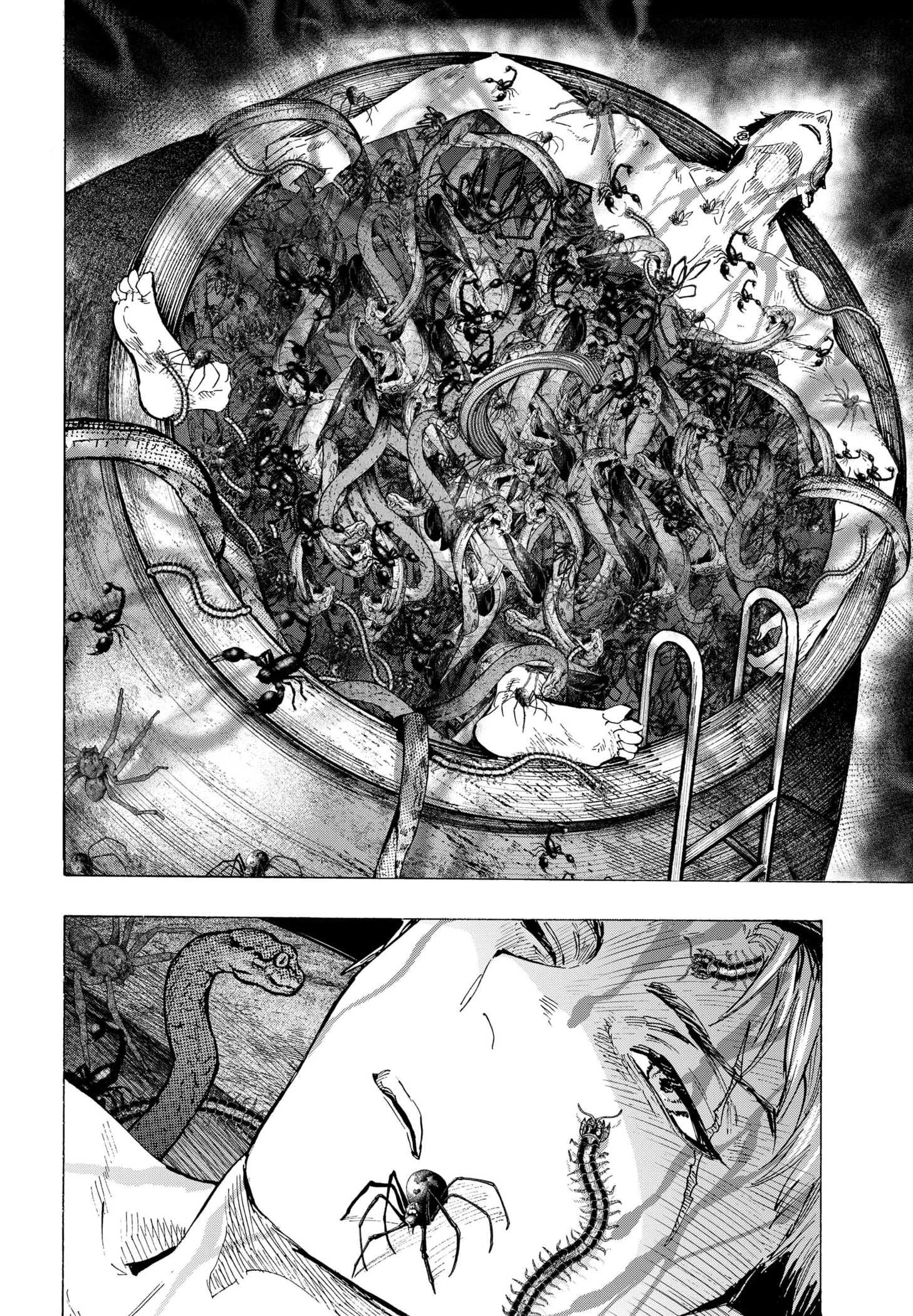 Read Marriage Toxin ES Manga Online