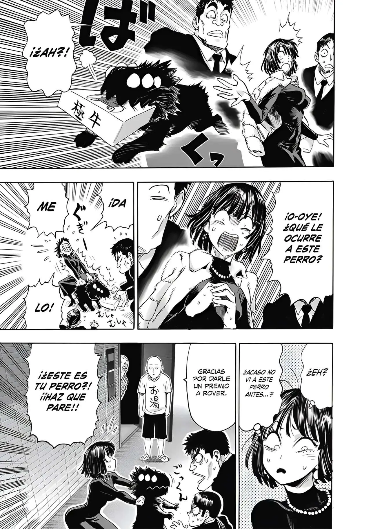 Read One Punch-Man ES Manga Online