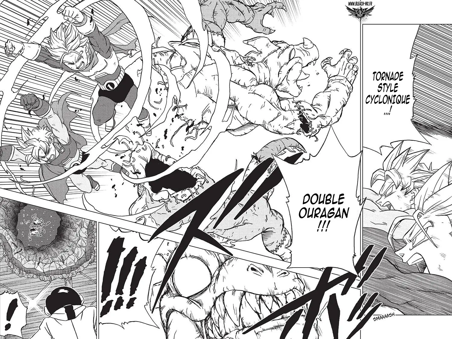 Read Dragon Ball Super FR Manga Online