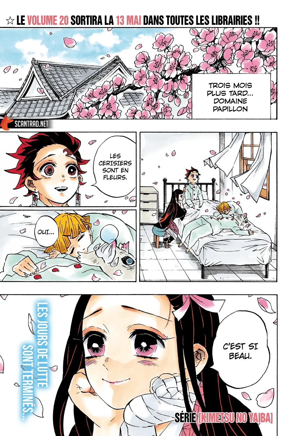 Read Kimetsu no Yaiba FR Manga Online