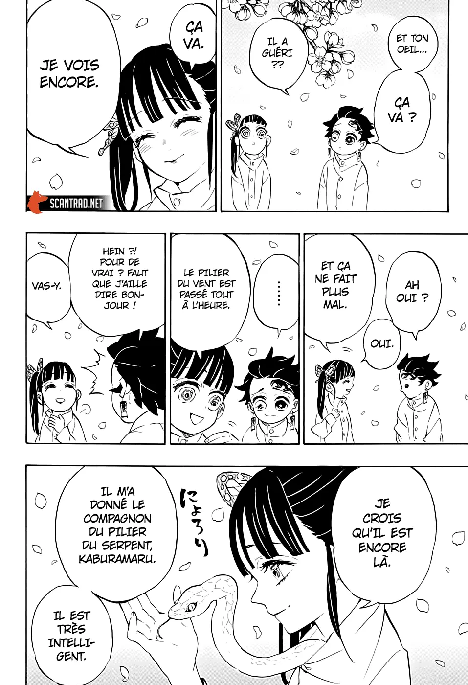 Read Kimetsu no Yaiba FR Manga Online