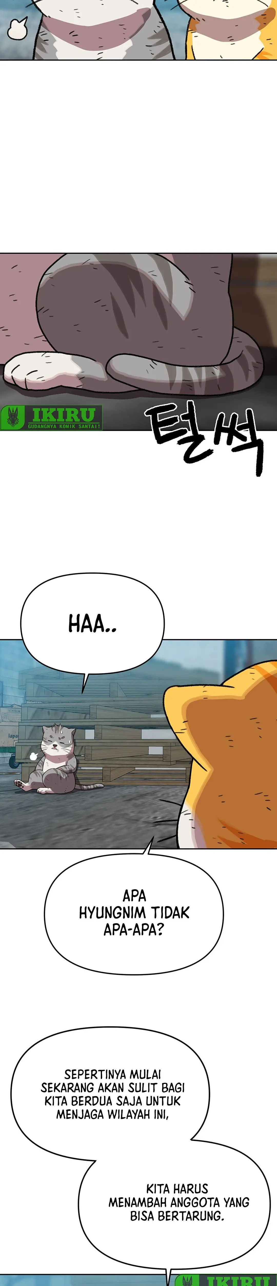 Read Penjaga Jembatan Pelangi ID Manga Online