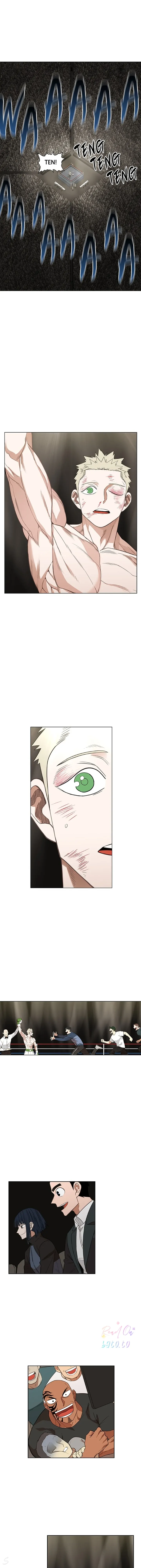 Read The Boxer ID Manga Online