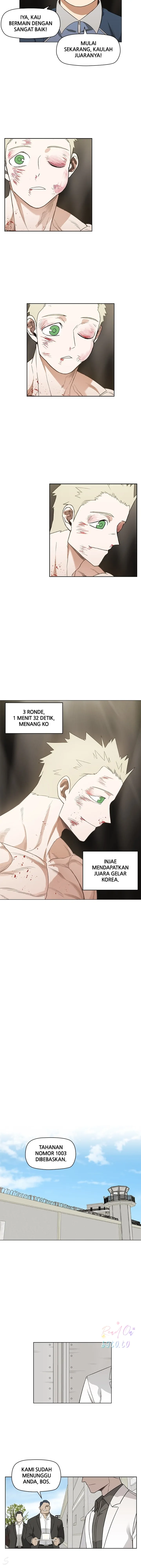 Read The Boxer ID Manga Online
