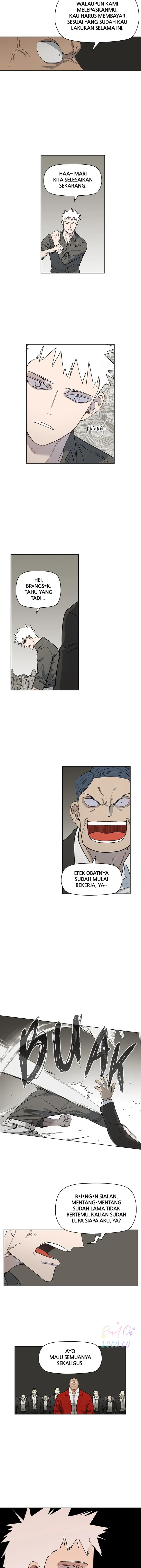 Read The Boxer ID Manga Online