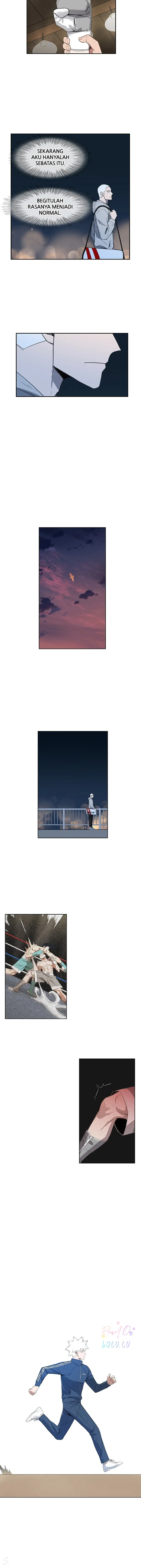 Read The Boxer ID Manga Online