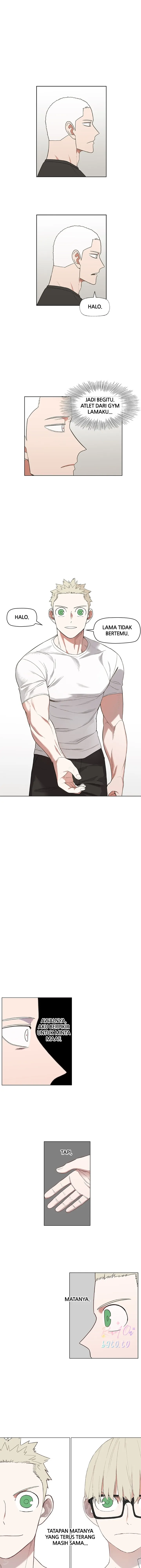 Read The Boxer ID Manga Online