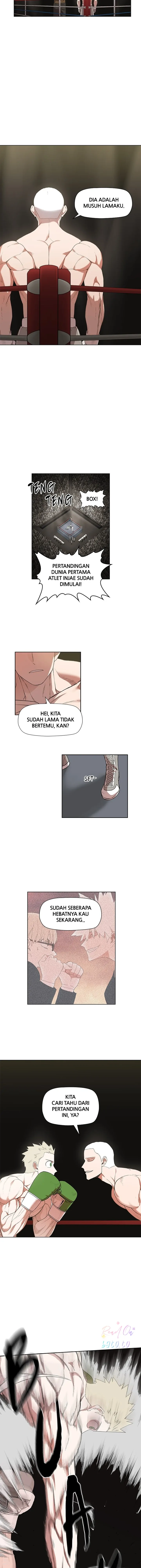 Read The Boxer ID Manga Online