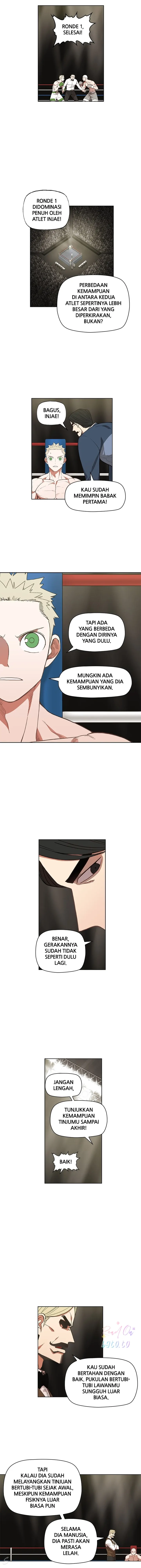 Read The Boxer ID Manga Online