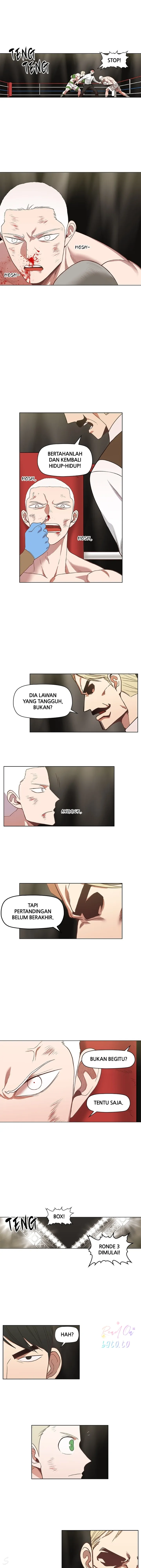 Read The Boxer ID Manga Online